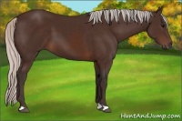 Horse Color:Silver Brown 