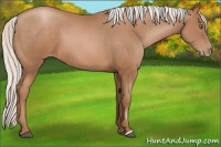Horse Color:Silver Brown Pearl 