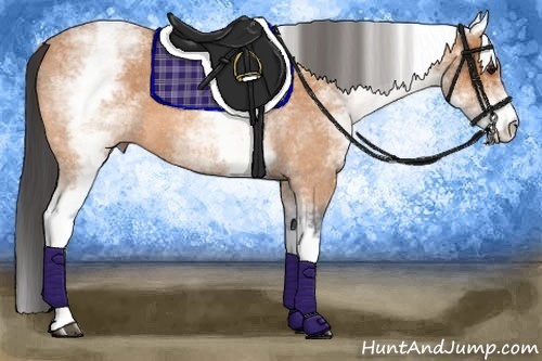 Horse Color:White Spotted Bay Roan