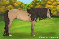 Horse Color:Sable Cream Champagne