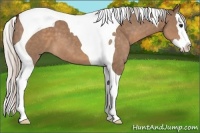 Horse Color:Silver Brown Dun Splash Tobiano 