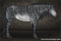 Horse Color:Brown Chinchilla Brindle