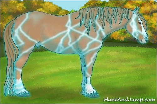 Horse Color:Thunderstruck Red Roan Splash 