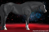 Horse Color:Black Sabino
