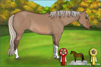 Horse Color:Unknown 