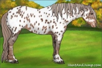 Horse Color:Liver Chestnut Ice Sabino Near Leopard 