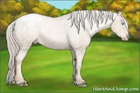 Horse Color:Chocolate Palomino Ice Pearl Sabino Snowcap 