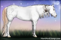Horse Color:White Spotted Liver Chestnut 