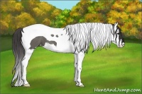Horse Color:Grullo Splash Tobiano Varnish 
