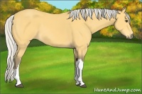 Horse Color:Silver Buckskin 