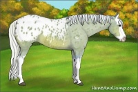 Horse Color:Watercolor Silver Bay Splash Blanket 