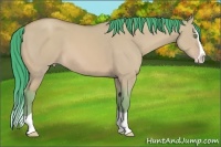 Horse Color:Watercolor Amber Champagne Dun Splash 