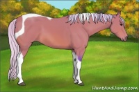 Horse Color:Watercolor Silver Bay Tobiano 