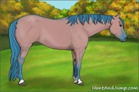 Horse Color:Watercolor Grullo 