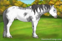 Horse Color:Black Ice Splash Frame Blanket 