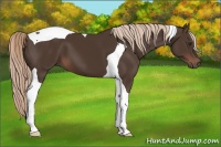 Horse Color:Liver Chestnut Tobiano 