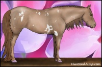Horse Color:White Spotted Liver Chestnut Pearl 