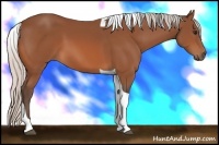 Horse Color:Silver Bay Tobiano 