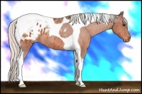 Horse Color:Silver Bay Roan Tobiano Blanket 