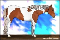 Horse Color:Silver Brown Tobiano 