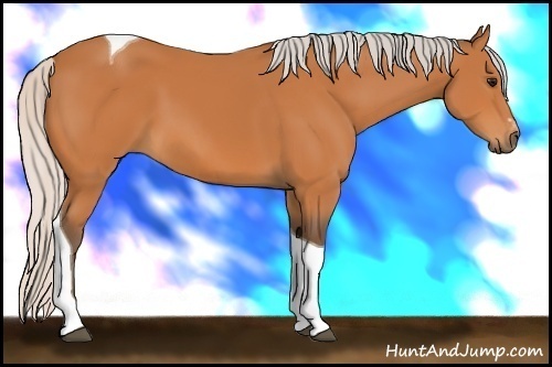Horse Color: Silver Bay Sabino Tobiano 