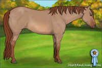 Horse Color:Liver Red Dun 