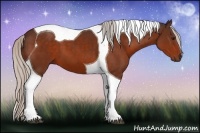 Horse Color:Silver Bay Tobiano 