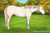 Horse Color:Buckskin Pearl Dun Sabino