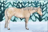 Horse Color:White Spotted Silver Black Ice Pearl Sabino Splash