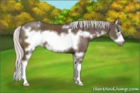 Horse Color:White Spotted Silver Black Sabino Splash Frame