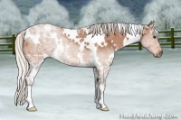 Horse Color:White Spotted Silver Bay Ice