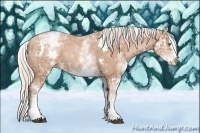 Horse Color:White Spotted Silver Brown Ice Pearl Splash 