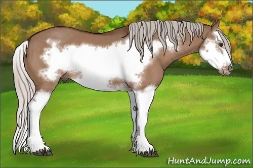 Horse Color: Silver Brown Dun Splash Frame 