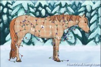 Horse Color:Plaid  White Spotted Red Dun 