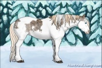 Horse Color:White Spotted Chestnut Ice Pearl Splash Tobiano 