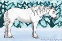 Horse Color:Silver Grullo Ice Splash Tobiano Frame 