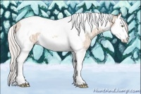 Horse Color:Silver Classic Champagne Ice Dun Splash Tobiano 