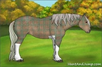 Horse Color:Plaid  Silver Black Tobiano 