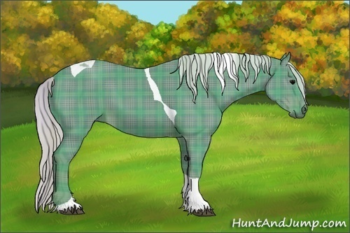 Horse Color: Watercolor Plaid  Silver Black Tobiano 