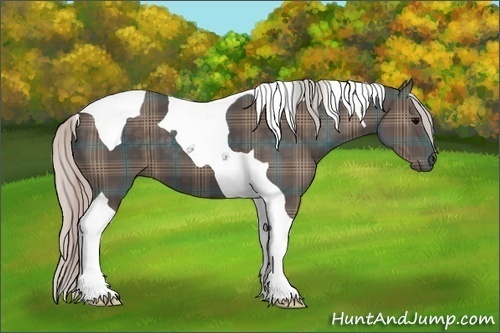 Horse Color: Plaid  Silver Black Tobiano 