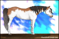 Horse Color:Bay Splash Frame 