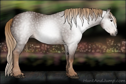 Horse Color:Gray Chestnut