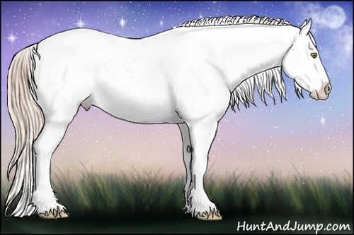 Horse Color: Gold Champagne Snowcap 