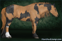 Horse Color:Black  Brindle