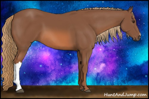 Horse Color: Liver Chestnut 