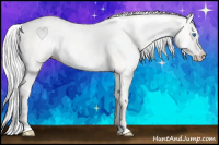 Horse Color:Cremello Splash Tobiano 