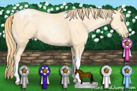 Horse Color:Buckskin Pearl Tobiano Rabicano
