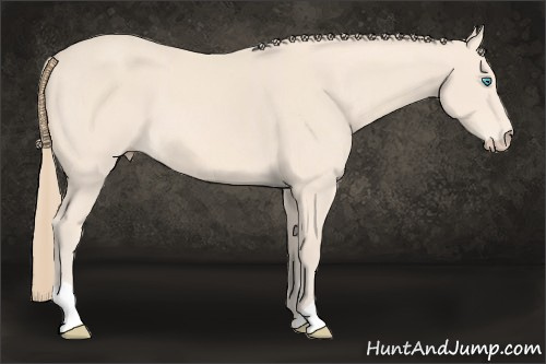 Horse Color: Perlino 