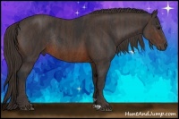 Horse Color:Brown Rabicano Brindle