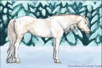 Horse Color:Gray Silver Amber Cream Champagne Roan Dun Splash Tobiano Frame Appaloosa Rabicano 